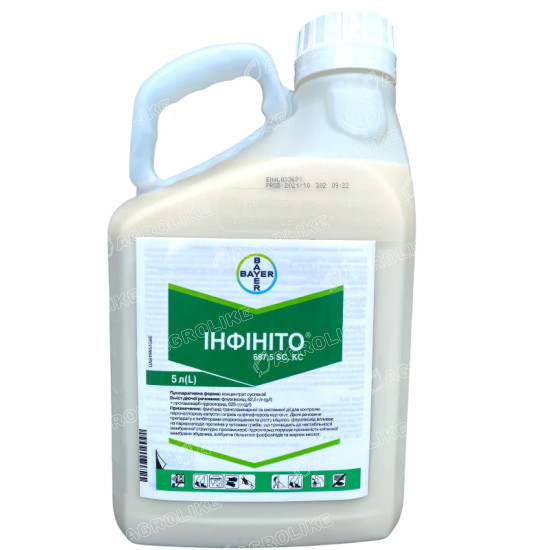 Інфініто