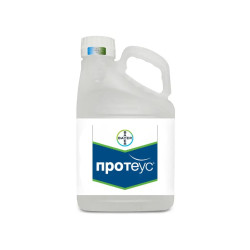 Протеус