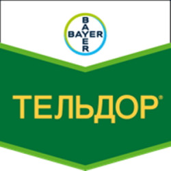 Тельдор