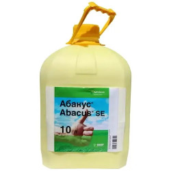 Абакус