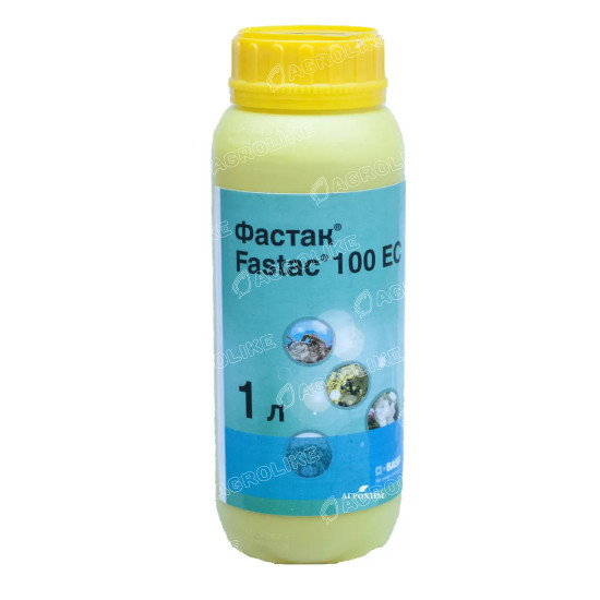 Фастак