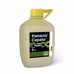 Капало