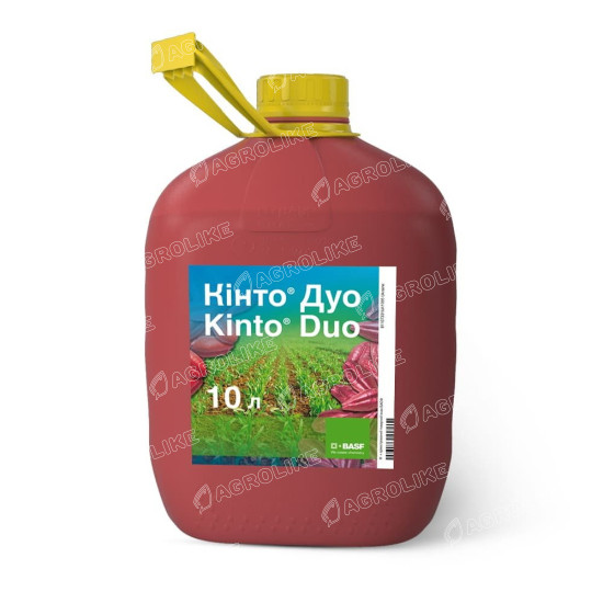 Кинто Дуо