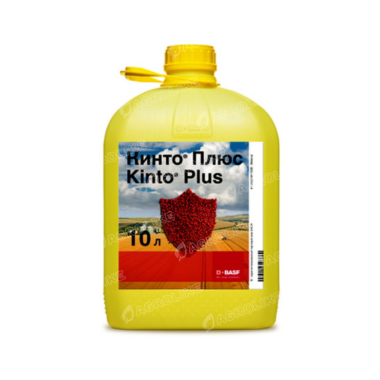 Кинто Плюс