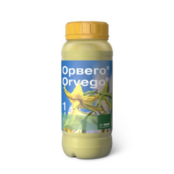 Орвего