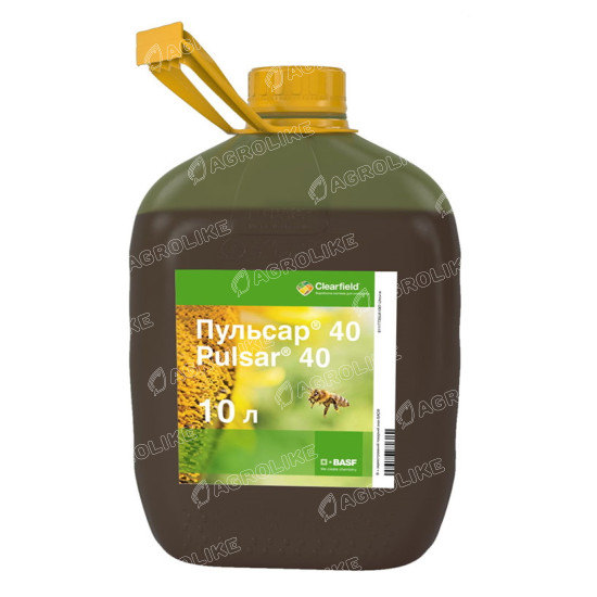Пульсар Флекс
