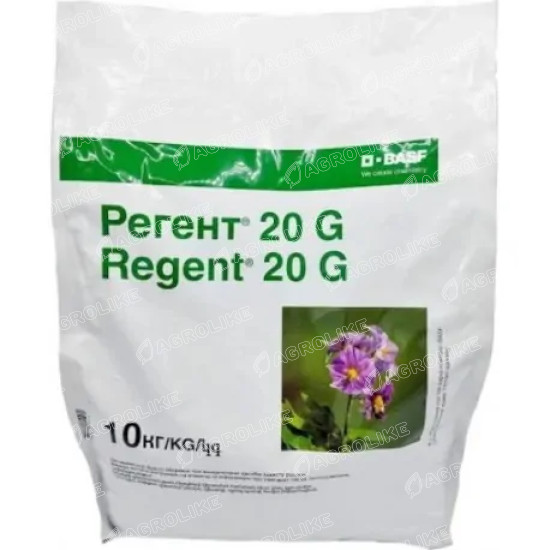Регент