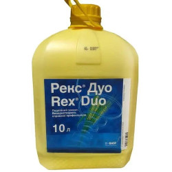 Рекс Дуо