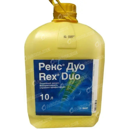Рекс Дуо