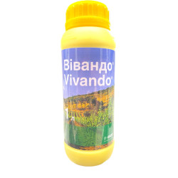 Вівандо