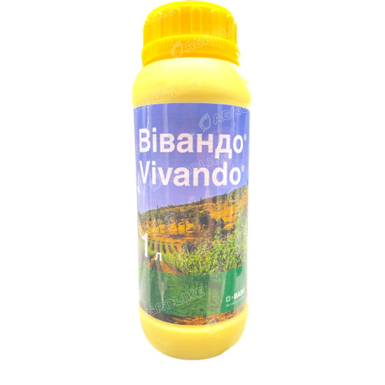 Вівандо