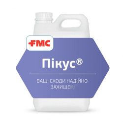 Пікус