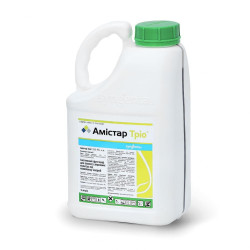 Амістар Тріо