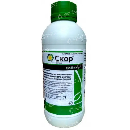 Скор
