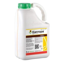 Каптора 