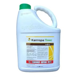 Каптора Плюс