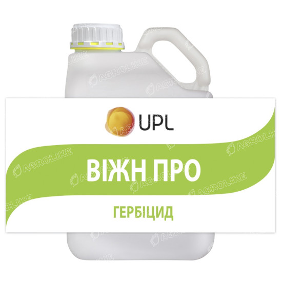 Віжн Про