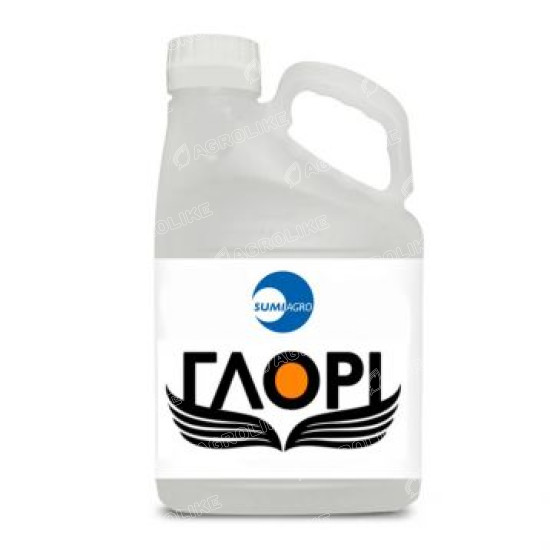 Глори
