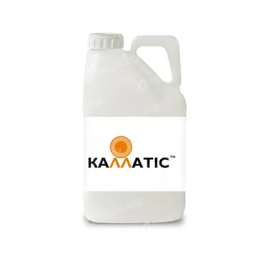 Каллатис