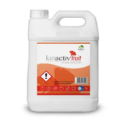 Кінактив Фрут