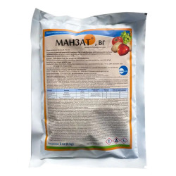 Манзат