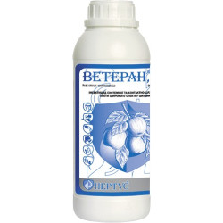 Ветеран