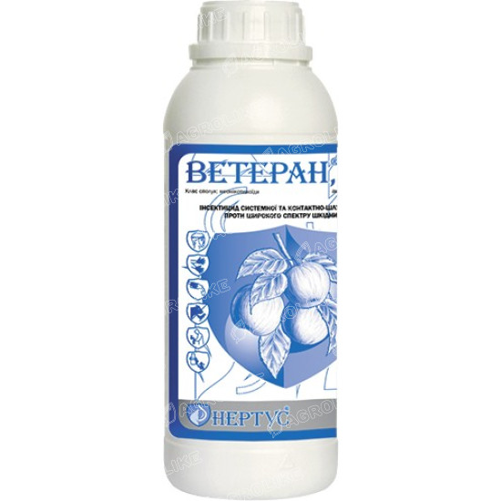 Ветеран